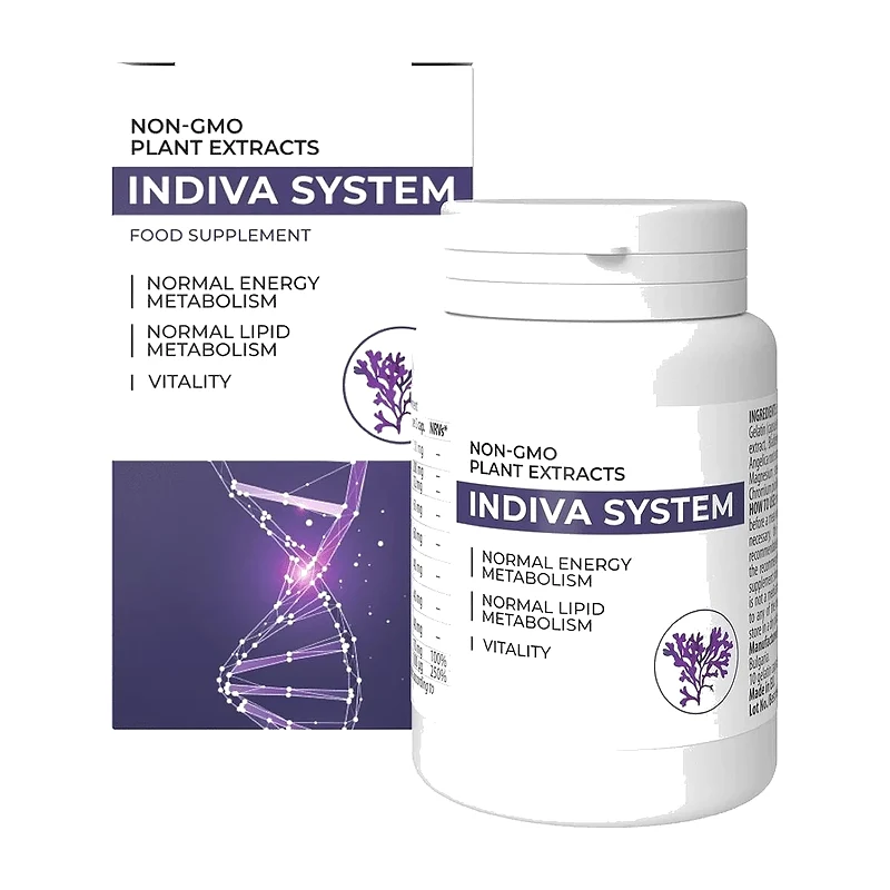 Indiva System – Routines quotidiennes et énergie : comment de petites habitudes changent la journée
