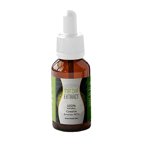 Matcha Extract – Matcha: el ritual japonés que puede sumar bienestar a tu rutina diaria