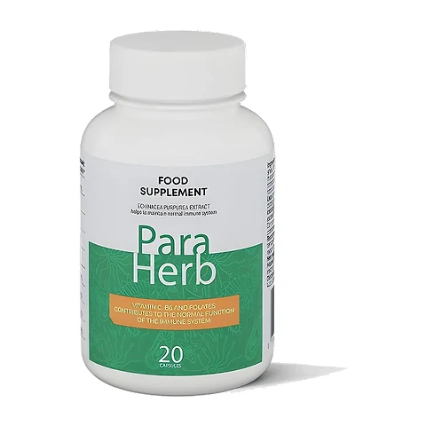 ParaHerb – Cómo elegir un suplemento para el bienestar digestivo: guía práctica